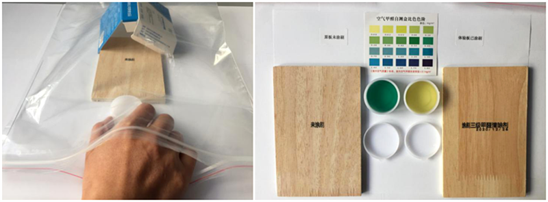 1621481141646786.png 體驗板11_副.png