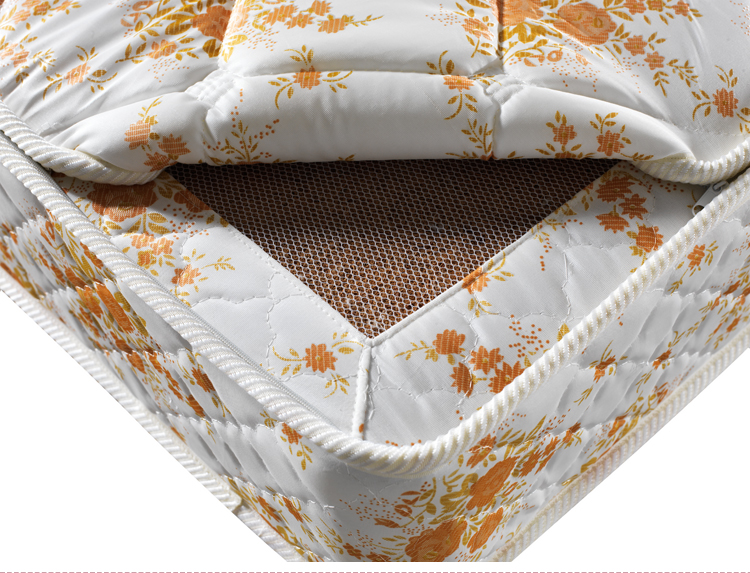 1663049607574525.jpg 床墊-棕櫚2.jpg